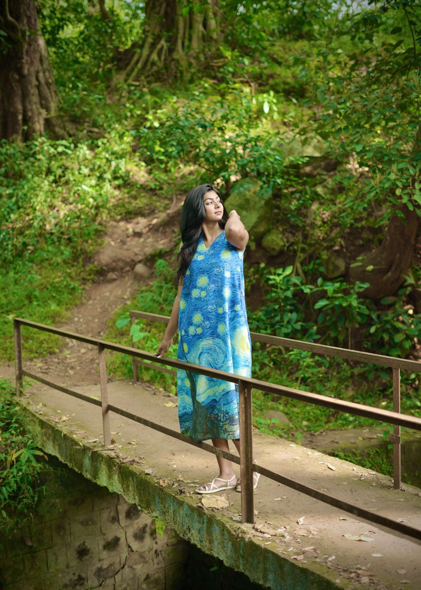 Dress - The Starry Night